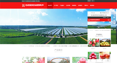 企業(yè)網(wǎng)站、程序軟件App解決方案